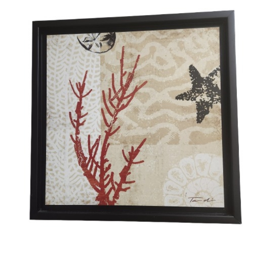 Tandi Venter Coral Impressions Framed Canvas Wall Art